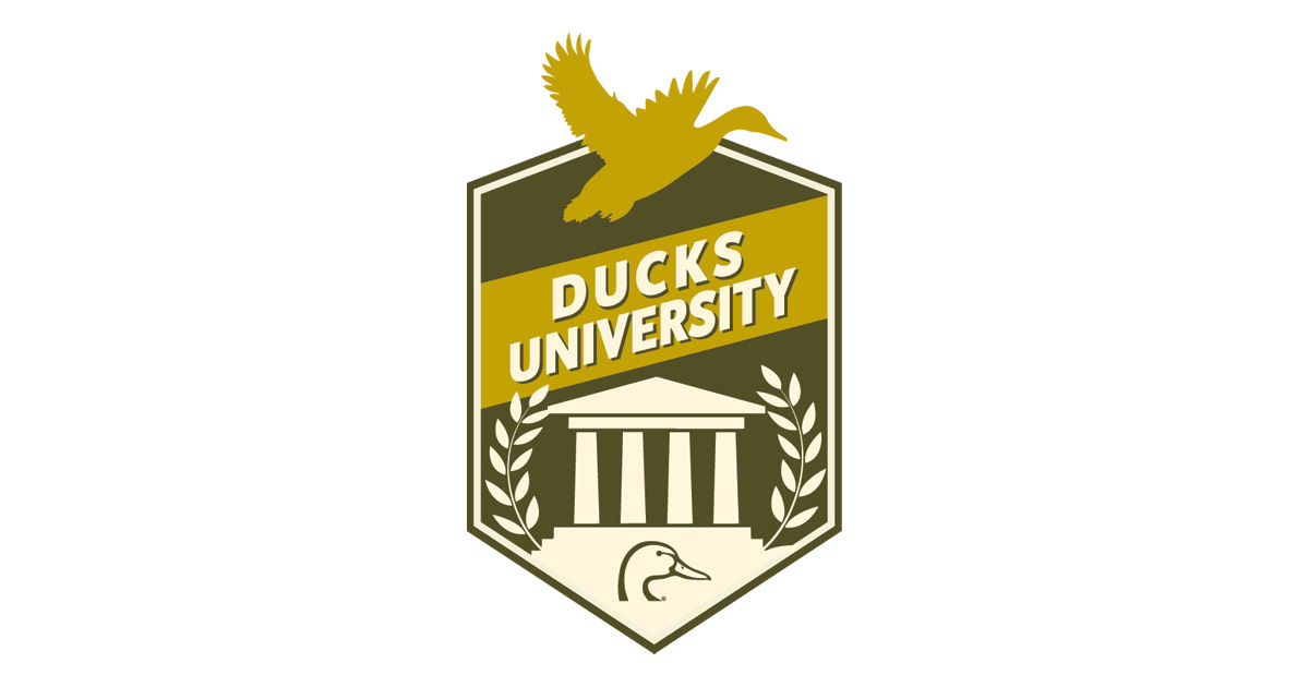 DucksUniversity.jpg